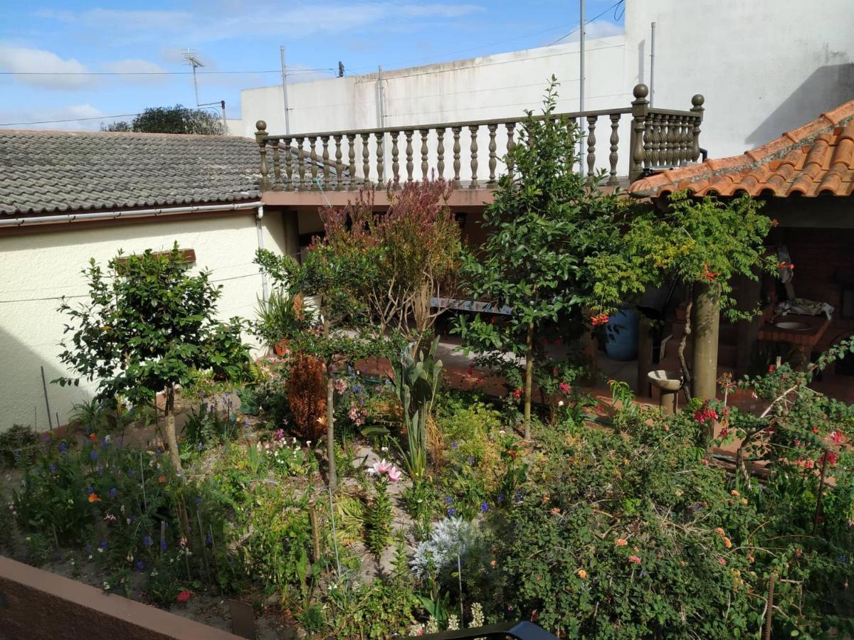 Sousa E Ines House Gafanha da Nazaré Eksteriør bilde